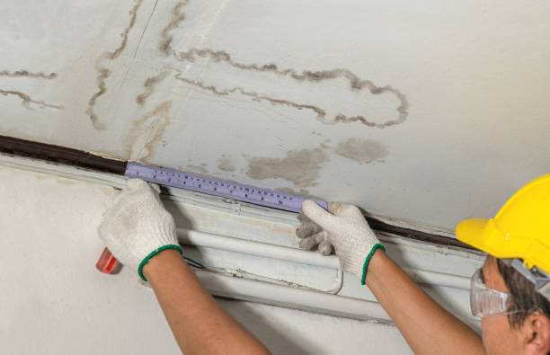 Reliable Structural Drying contractor in Somerville, NJ by Water Damage Irwin